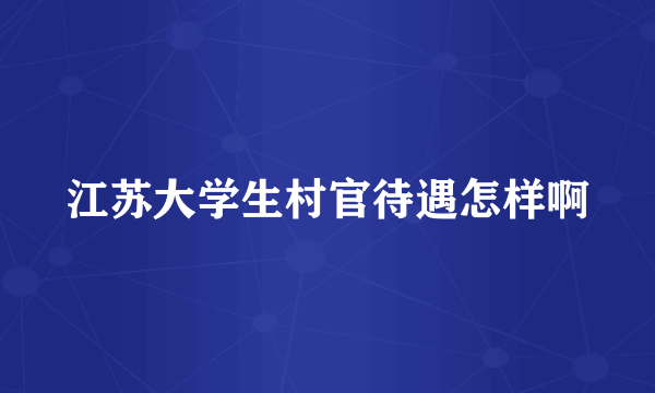 江苏大学生村官待遇怎样啊