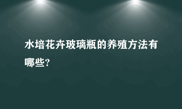 水培花卉玻璃瓶的养殖方法有哪些?