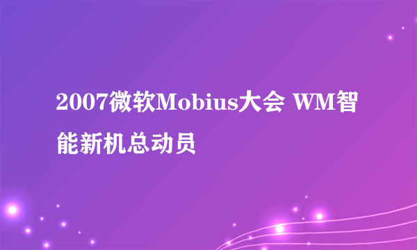 2007微软Mobius大会 WM智能新机总动员