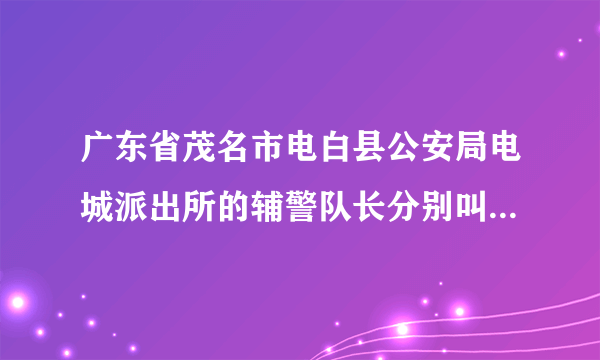 广东省茂名市电白县公安局电城派出所的辅警队长分别叫怎么名字