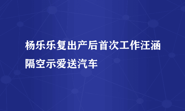 杨乐乐复出产后首次工作汪涵隔空示爱送汽车