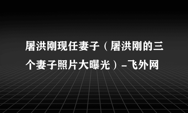 屠洪刚现任妻子（屠洪刚的三个妻子照片大曝光）-飞外网