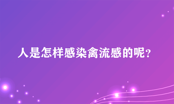 人是怎样感染禽流感的呢？