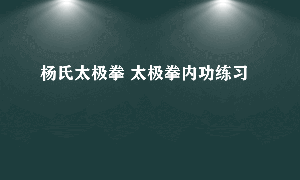 杨氏太极拳 太极拳内功练习