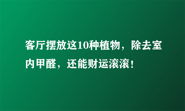 客厅摆放这10种植物，除去室内甲醛，还能财运滚滚！