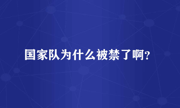 国家队为什么被禁了啊？