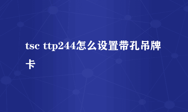 tsc ttp244怎么设置带孔吊牌卡