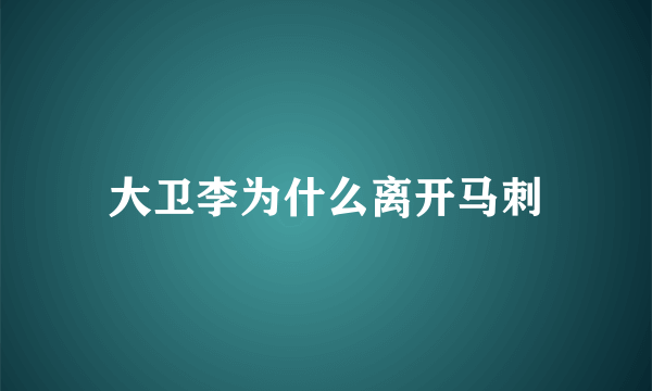 大卫李为什么离开马刺