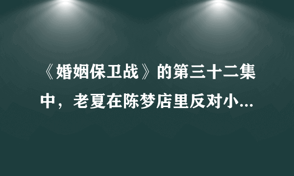 《婚姻保卫战》的第三十二集中，老夏在陈梦店里反对小小跟李刚在一起说的那段话是什么？