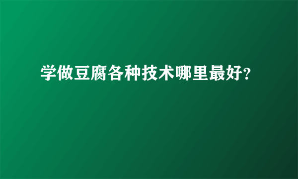 学做豆腐各种技术哪里最好？