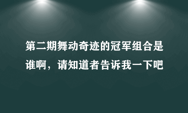 第二期舞动奇迹的冠军组合是谁啊，请知道者告诉我一下吧