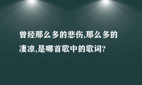 曾经那么多的悲伤,那么多的凄凉,是哪首歌中的歌词?