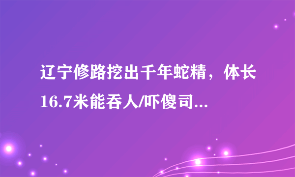 辽宁修路挖出千年蛇精，体长16.7米能吞人/吓傻司机(图片)