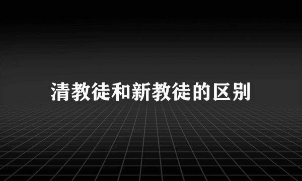 清教徒和新教徒的区别