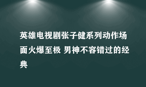 英雄电视剧张子健系列动作场面火爆至极 男神不容错过的经典