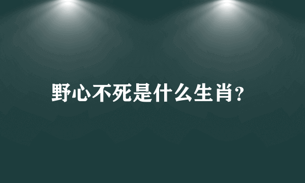 野心不死是什么生肖？