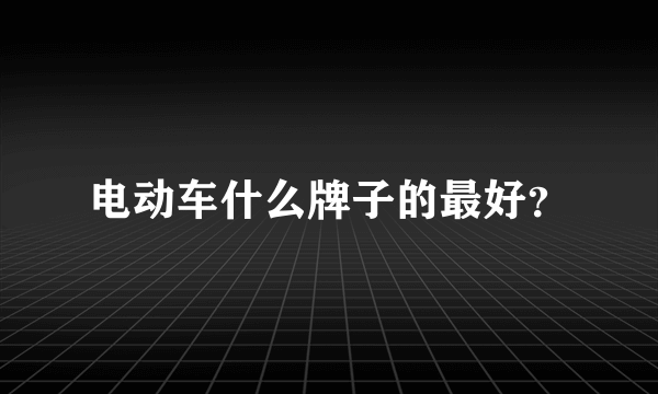 电动车什么牌子的最好？