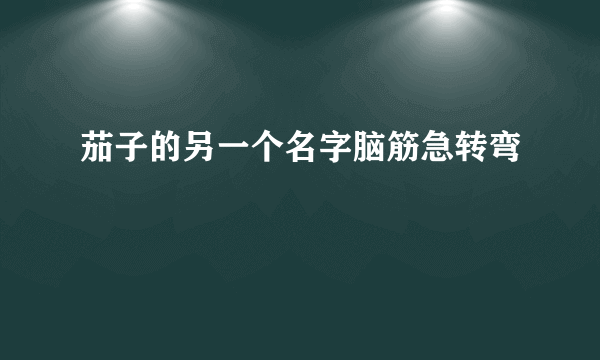 茄子的另一个名字脑筋急转弯