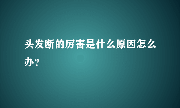 头发断的厉害是什么原因怎么办？