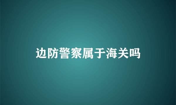 边防警察属于海关吗