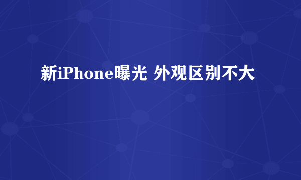 新iPhone曝光 外观区别不大