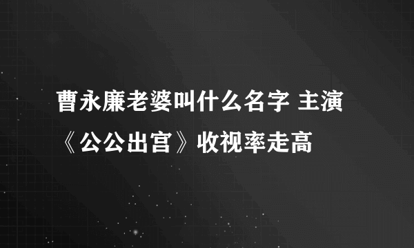 曹永廉老婆叫什么名字 主演《公公出宫》收视率走高