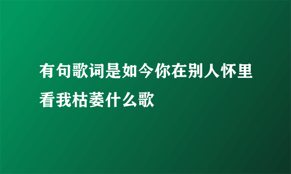 有句歌词是如今你在别人怀里看我枯萎什么歌