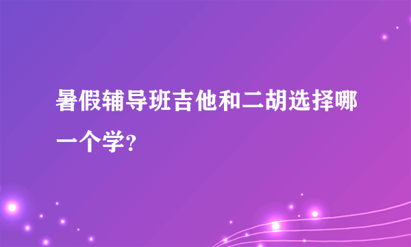 暑假辅导班吉他和二胡选择哪一个学？