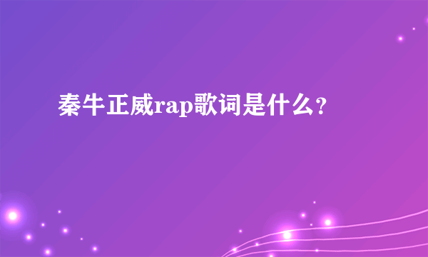 秦牛正威rap歌词是什么？