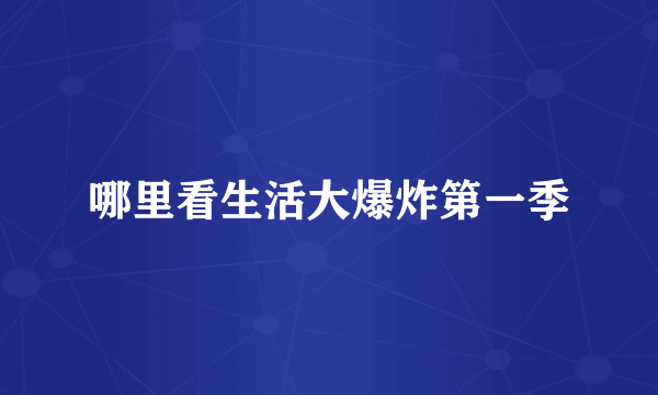 哪里看生活大爆炸第一季