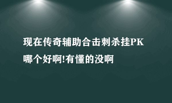 现在传奇辅助合击刺杀挂PK哪个好啊!有懂的没啊