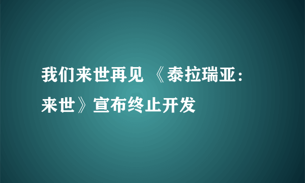 我们来世再见 《泰拉瑞亚：来世》宣布终止开发