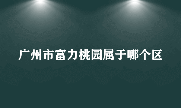 广州市富力桃园属于哪个区