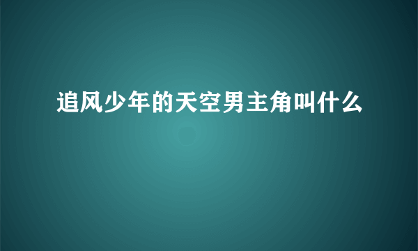 追风少年的天空男主角叫什么