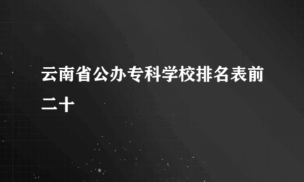 云南省公办专科学校排名表前二十