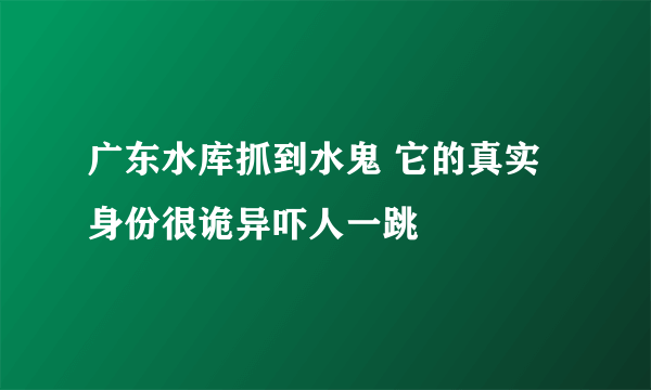 广东水库抓到水鬼 它的真实身份很诡异吓人一跳