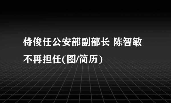 侍俊任公安部副部长 陈智敏不再担任(图/简历)