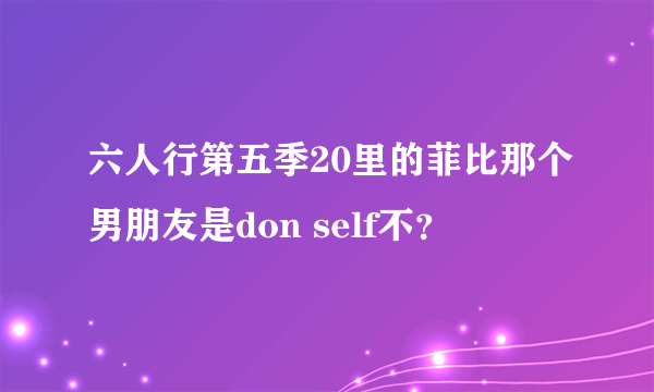 六人行第五季20里的菲比那个男朋友是don self不？