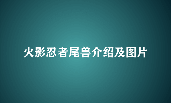 火影忍者尾兽介绍及图片