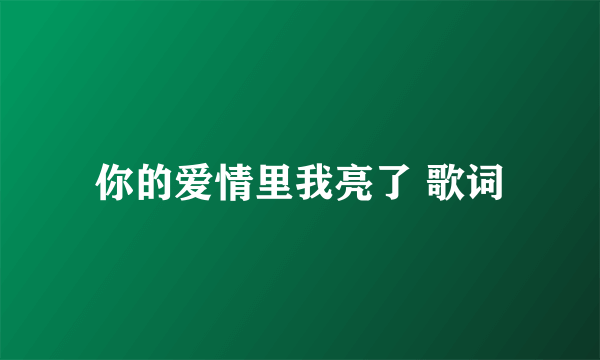 你的爱情里我亮了 歌词