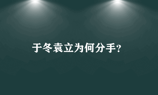 于冬袁立为何分手？