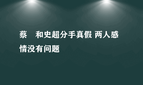 蔡旸和史超分手真假 两人感情没有问题