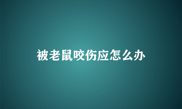 被老鼠咬伤应怎么办