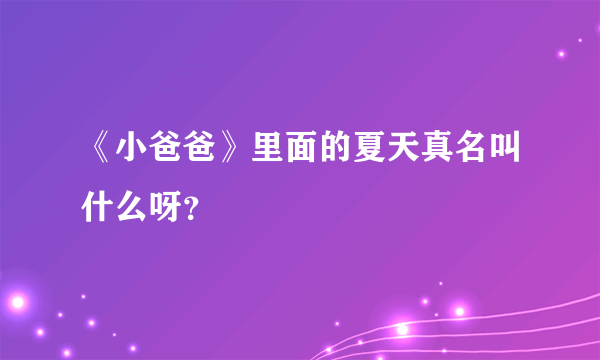 《小爸爸》里面的夏天真名叫什么呀？