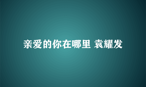 亲爱的你在哪里 袁耀发