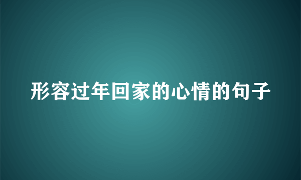 形容过年回家的心情的句子