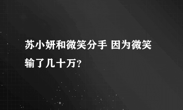 苏小妍和微笑分手 因为微笑输了几十万？