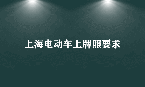 上海电动车上牌照要求