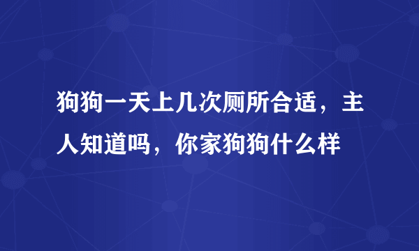 狗狗一天上几次厕所合适，主人知道吗，你家狗狗什么样