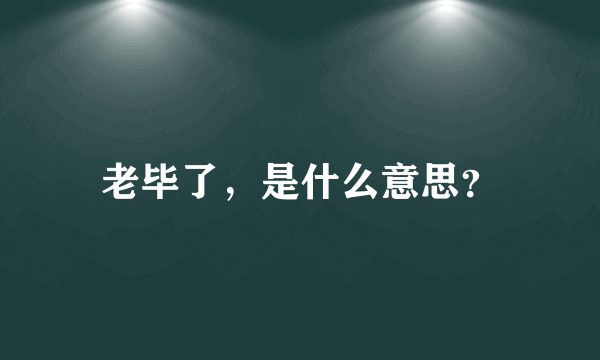 老毕了，是什么意思？